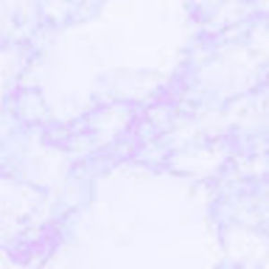 Meet your Posher, Sophia